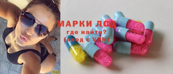 индика Армянск