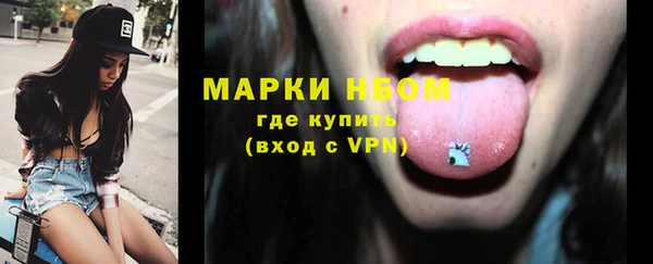 индика Армянск