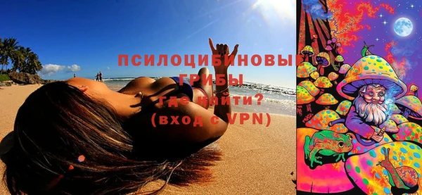 индика Армянск