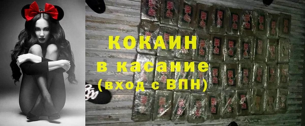 индика Армянск