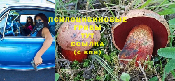 индика Армянск